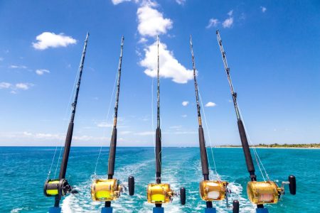 Golfito-Sport-Fishing-4-rods-and-reels-1024x683